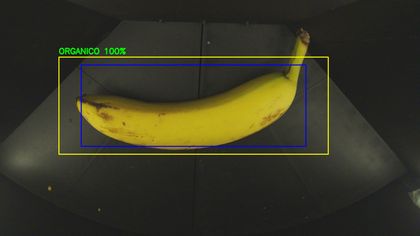 Esempio di riconoscimento in tempo reale: rifiuto organico