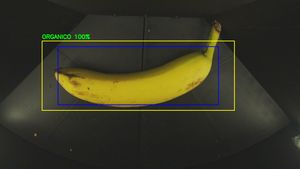 Esempio di riconoscimento in tempo reale: rifiuto organico